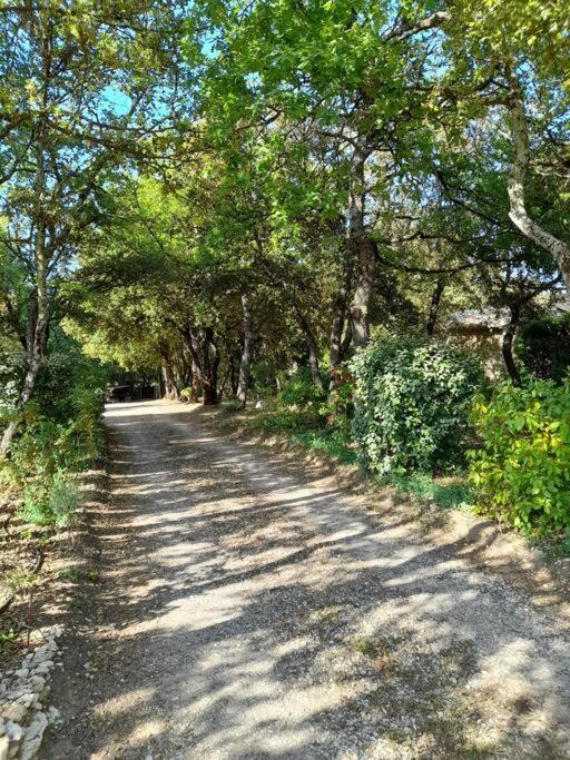 Villa Le Bosquet En Luberon. Menerbes Exterior photo